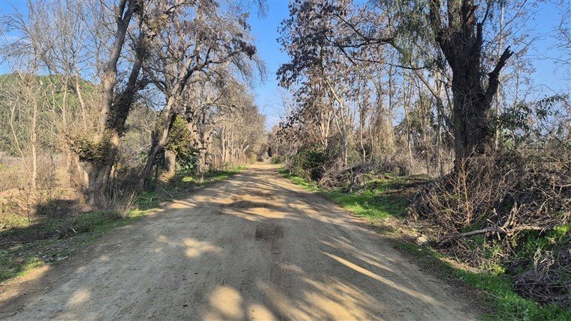 Terreno en venta en Hijuelas — foto 8