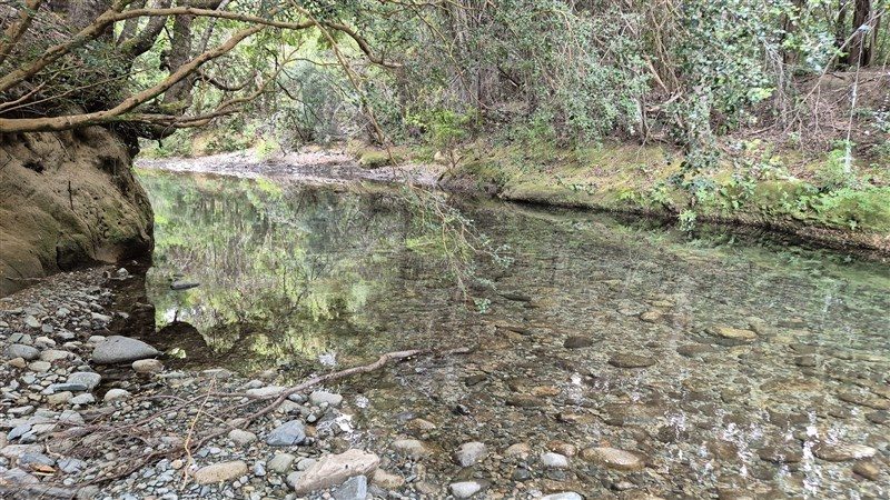 Terreno en venta en Cochamó — foto 4