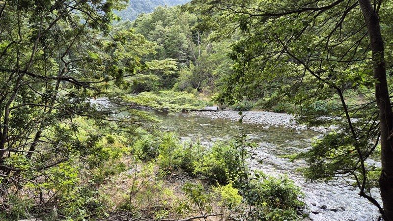 Terreno en venta en Cochamó — foto 8