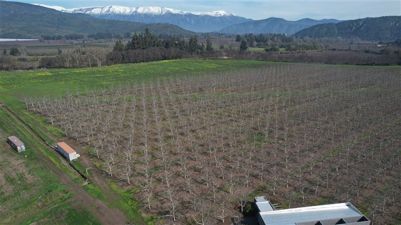 Parcela en venta en Paine — foto 1