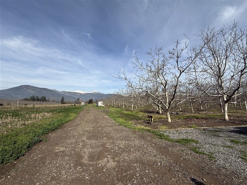 Parcela en venta en Paine — foto 2