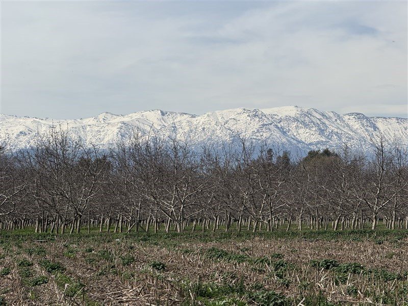 Parcela en venta en Paine — foto 4
