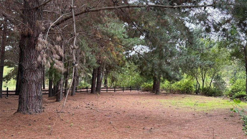 Terreno en venta en Litueche — foto 3