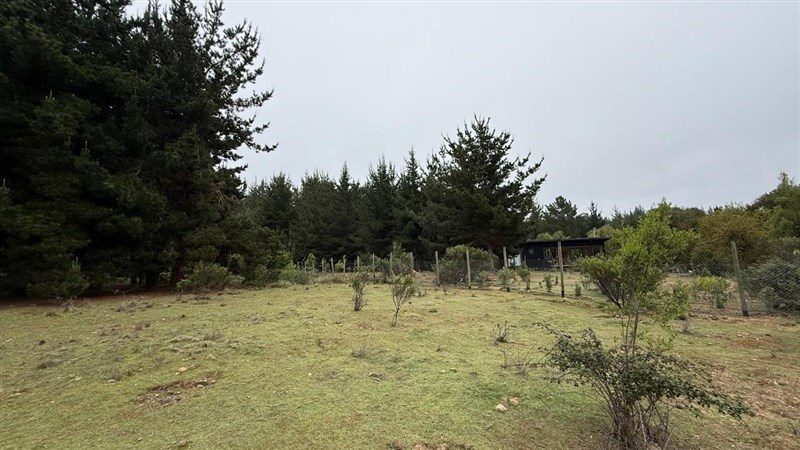 Terreno en venta en Litueche — foto 4