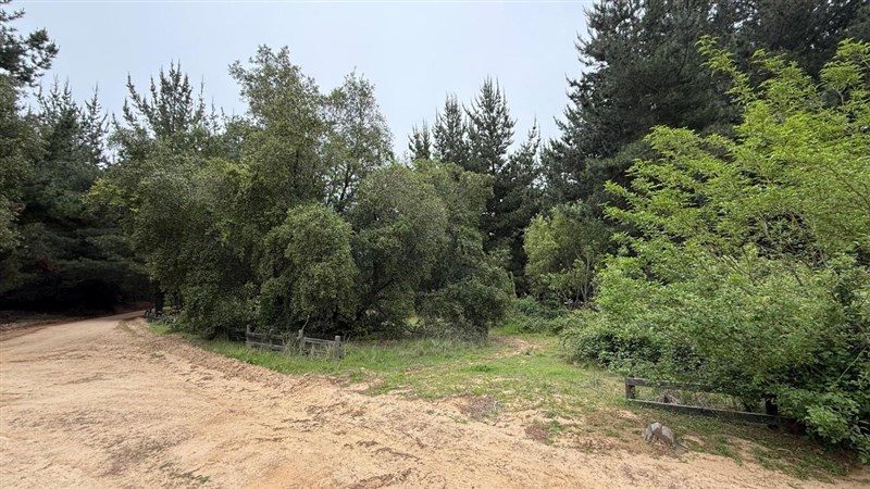 Terreno en venta en Litueche — foto 6