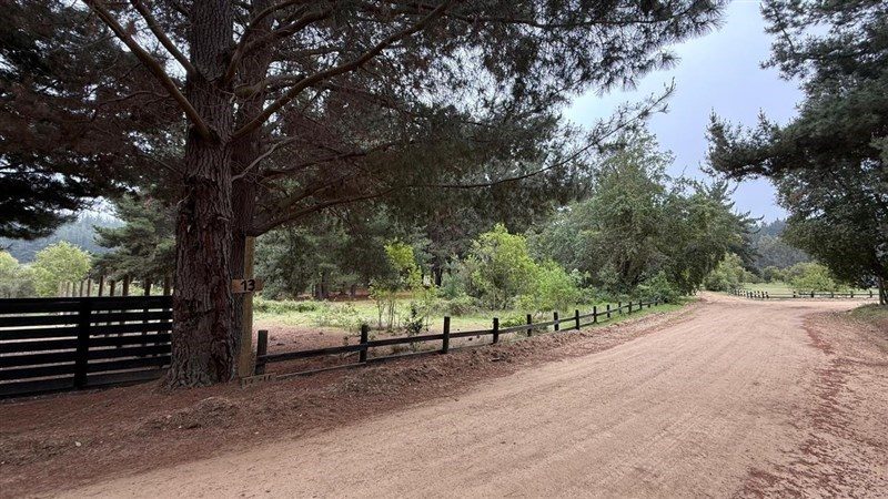 Terreno en venta en Litueche — foto 7