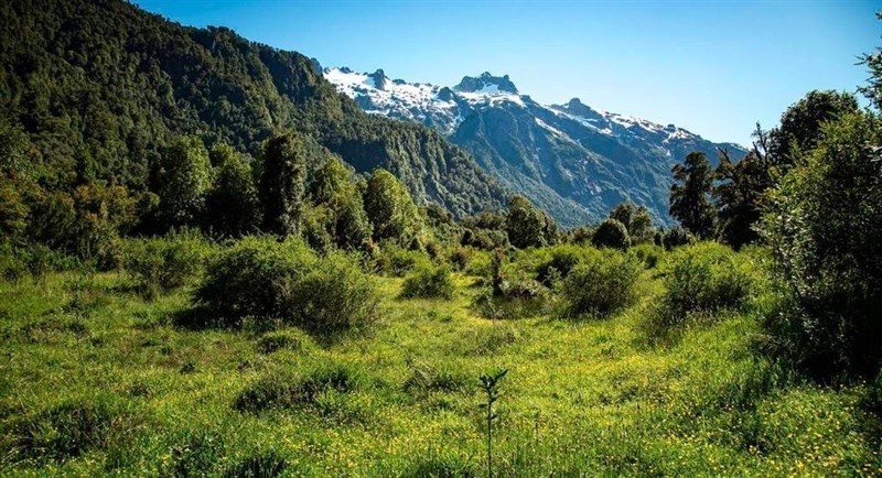 Terreno en venta en Hualaihué — foto 7