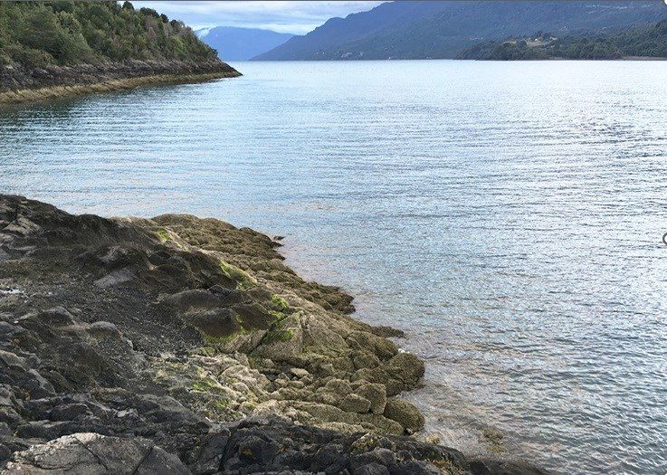 Terreno en venta en Cochamó — foto 1