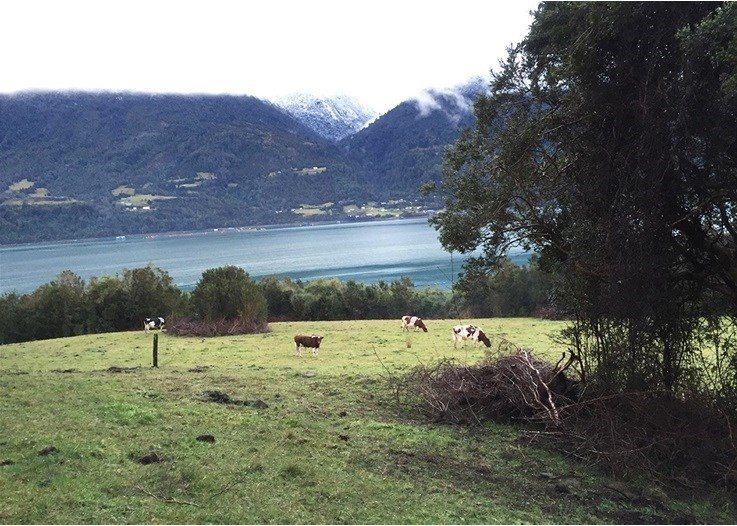 Terreno en venta en Cochamó — foto 3