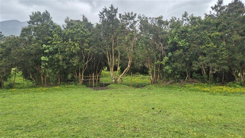 Terreno en venta en Cochamó — foto 6