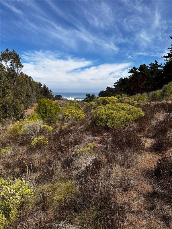 Terreno en venta en La Ligua — foto 1