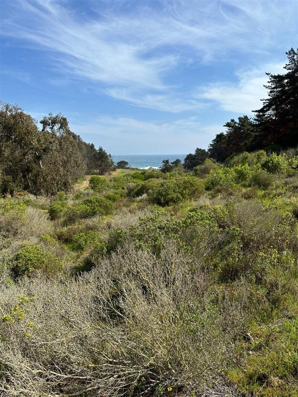 Terreno en venta en La Ligua — foto 2