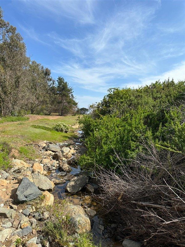 Terreno en venta en La Ligua — foto 3