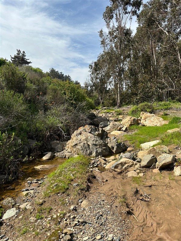 Terreno en venta en La Ligua — foto 4