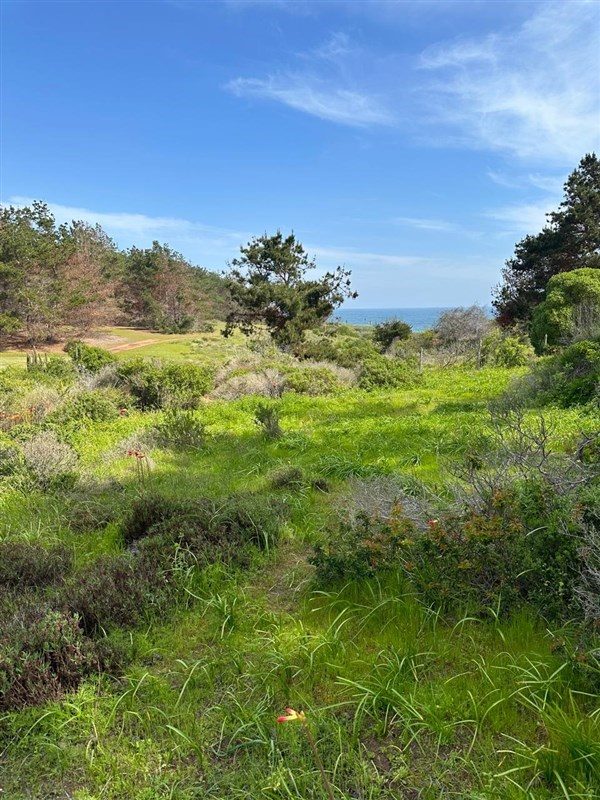 Terreno en venta en La Ligua — foto 5