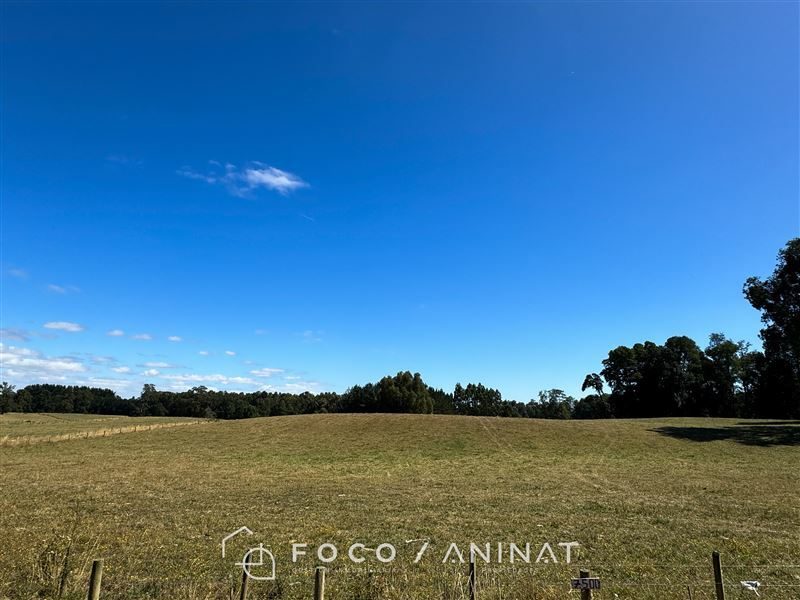 Parcela en venta en Río Bueno — foto 1