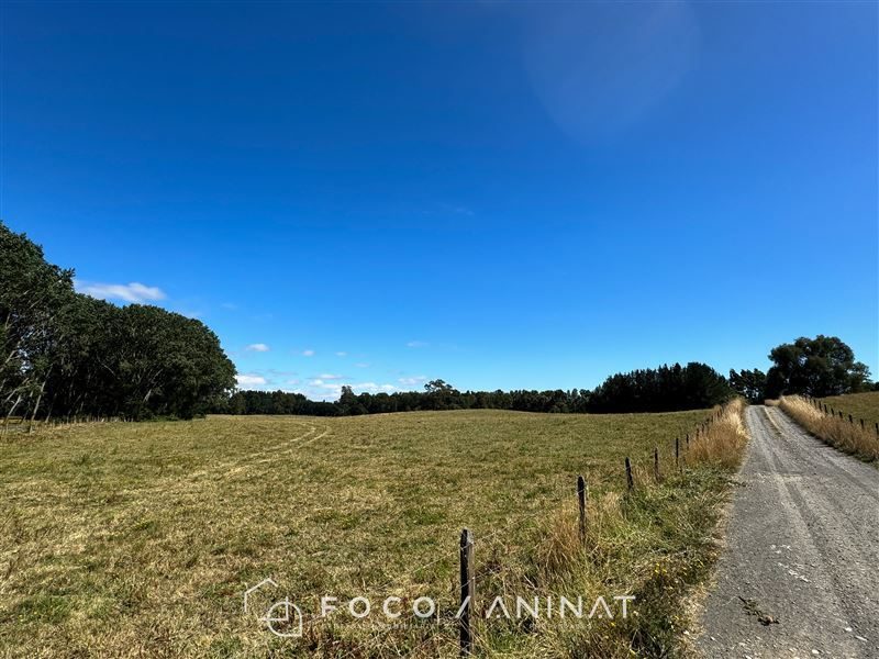 Parcela en venta en Río Bueno — foto 2