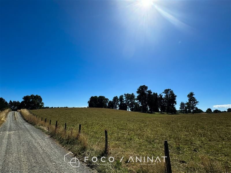 Parcela en venta en Río Bueno — foto 3