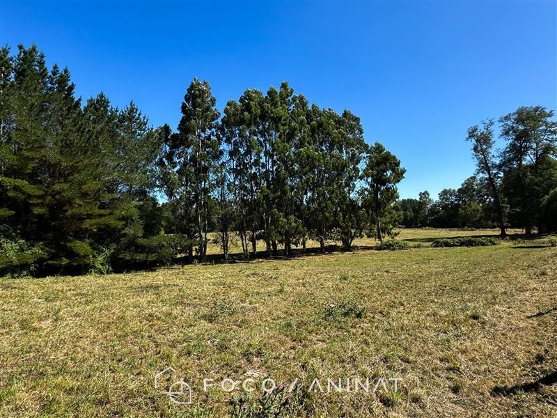 Parcela en venta en Río Bueno — foto 4