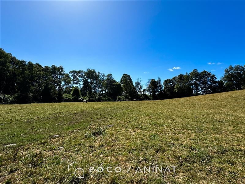 Parcela en venta en Río Bueno — foto 5