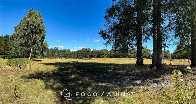 Parcela en venta en Río Bueno — foto 6