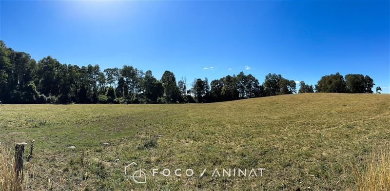 Parcela en venta en Río Bueno — foto 7