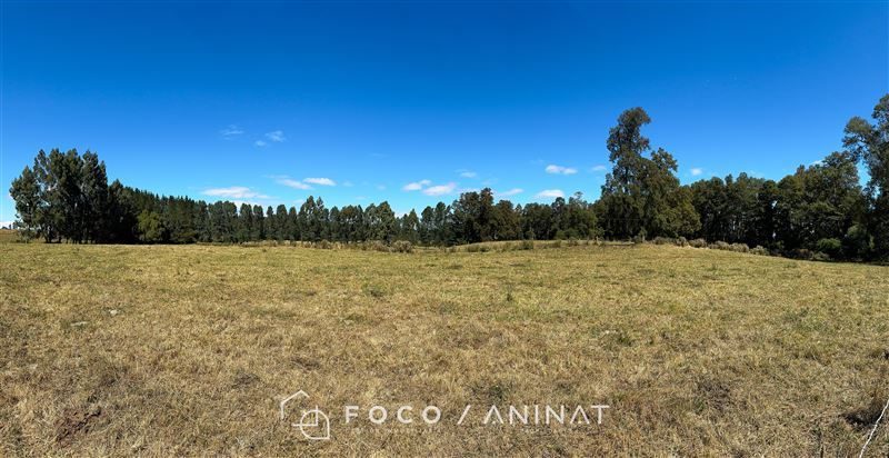Parcela en venta en Río Bueno — foto 8