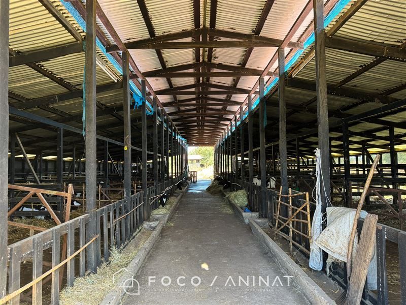 Parcela en venta en Río Bueno — foto 10