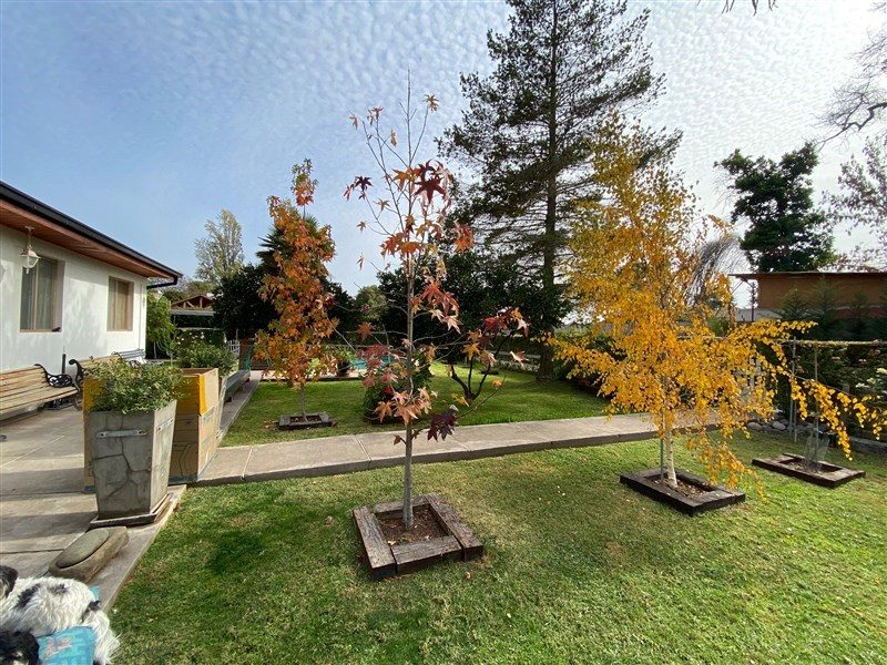 Parcela en venta en Isla de Maipo — foto 2