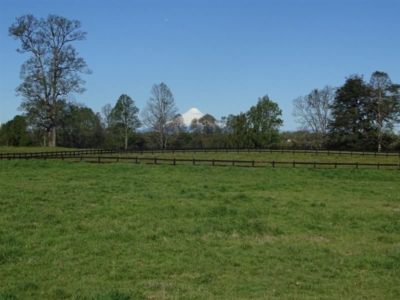Terreno en venta en Frutillar — foto 1