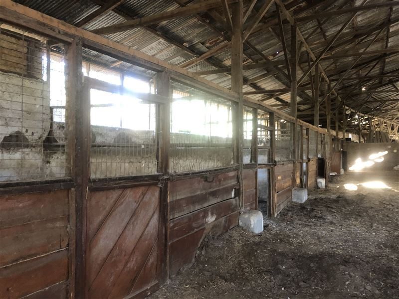 Terreno en venta en Calera de Tango — foto 8