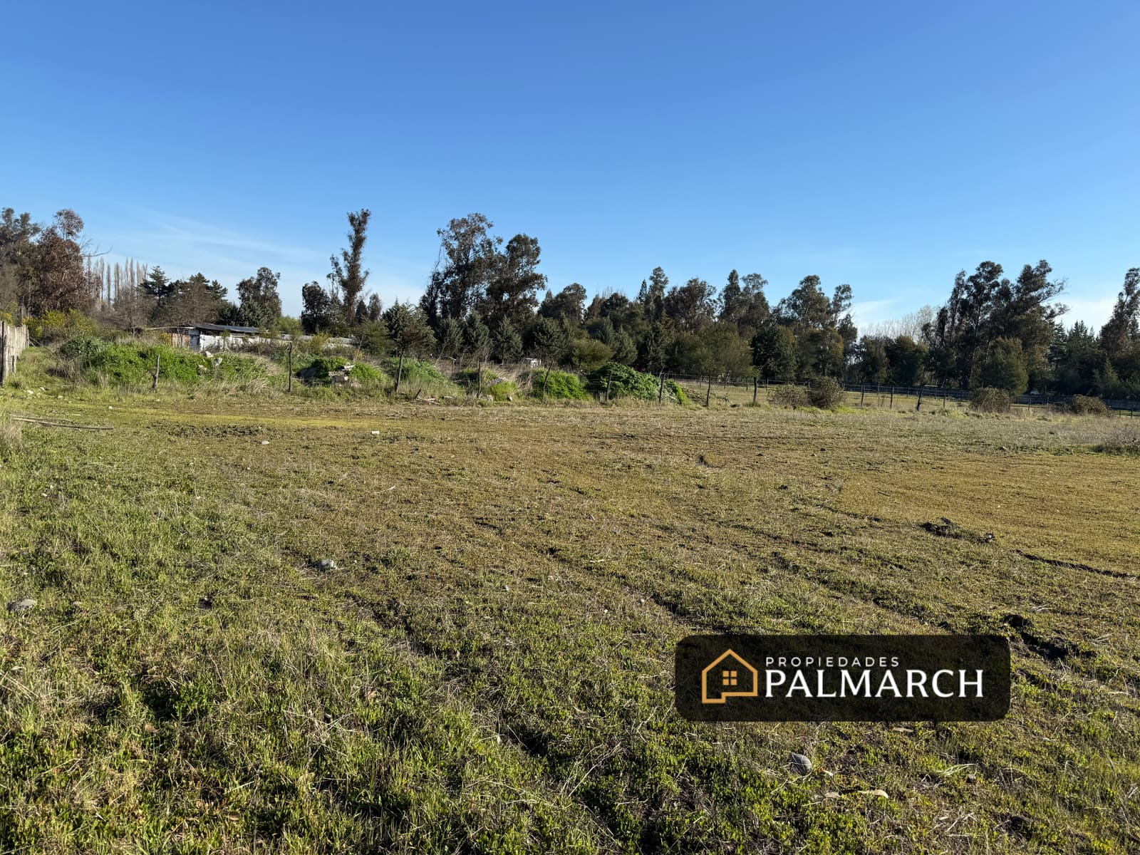 Parcela en venta en Pinto — foto 5