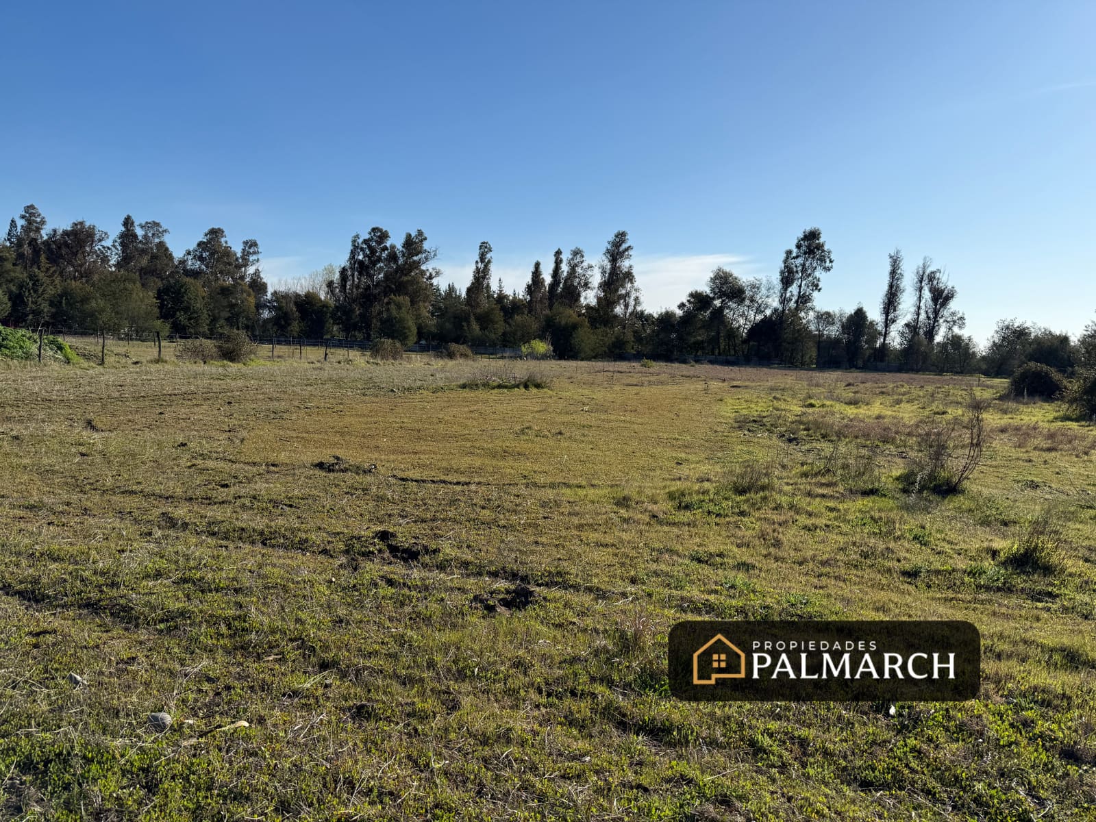 Parcela en venta en Pinto — foto 6