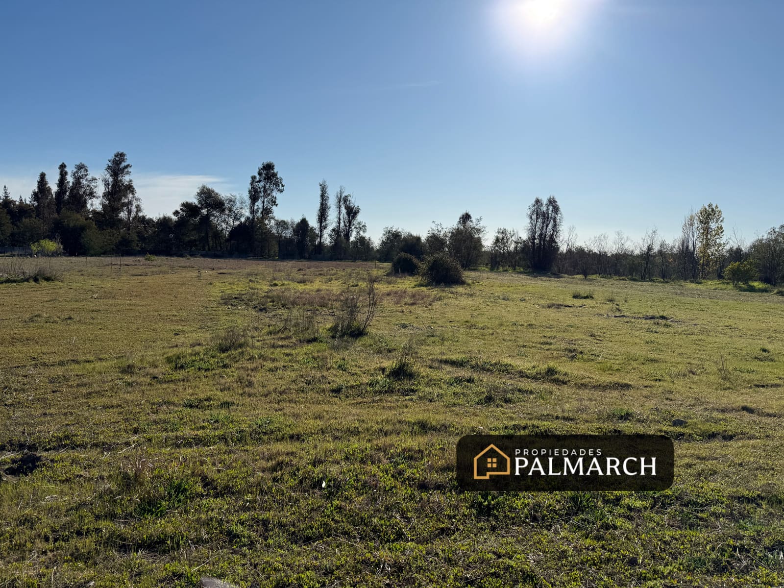 Parcela en venta en Pinto — foto 7