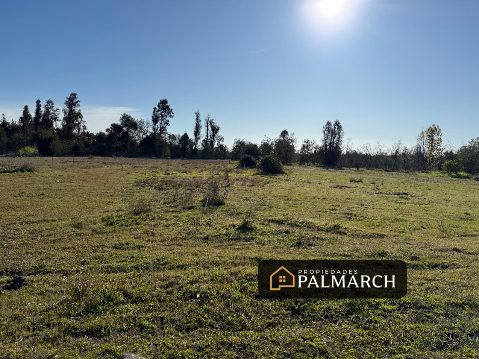 Parcela en venta en Pinto — foto 9
