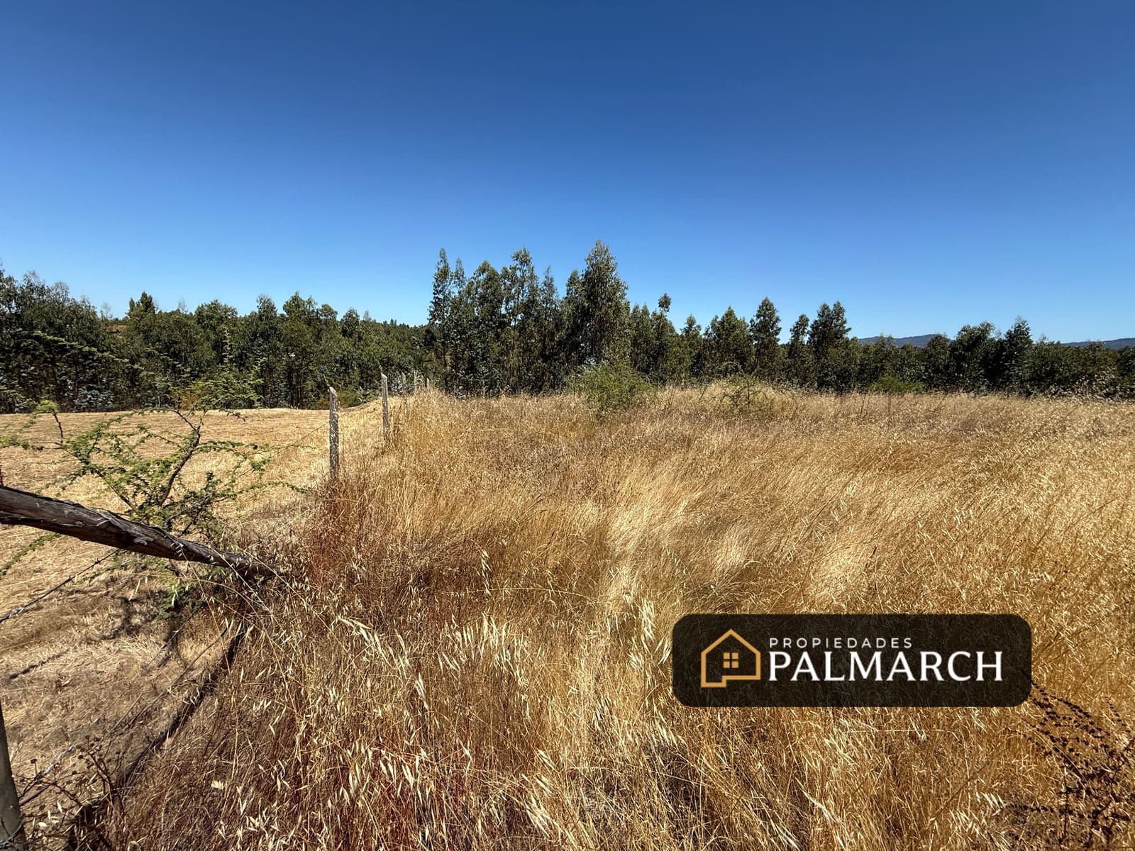 Parcela en venta en San Nicolás — foto 5