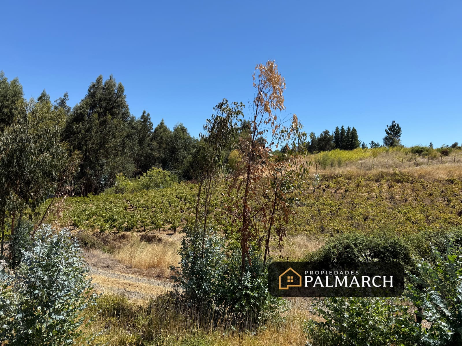 Parcela en venta en San Nicolás — foto 10