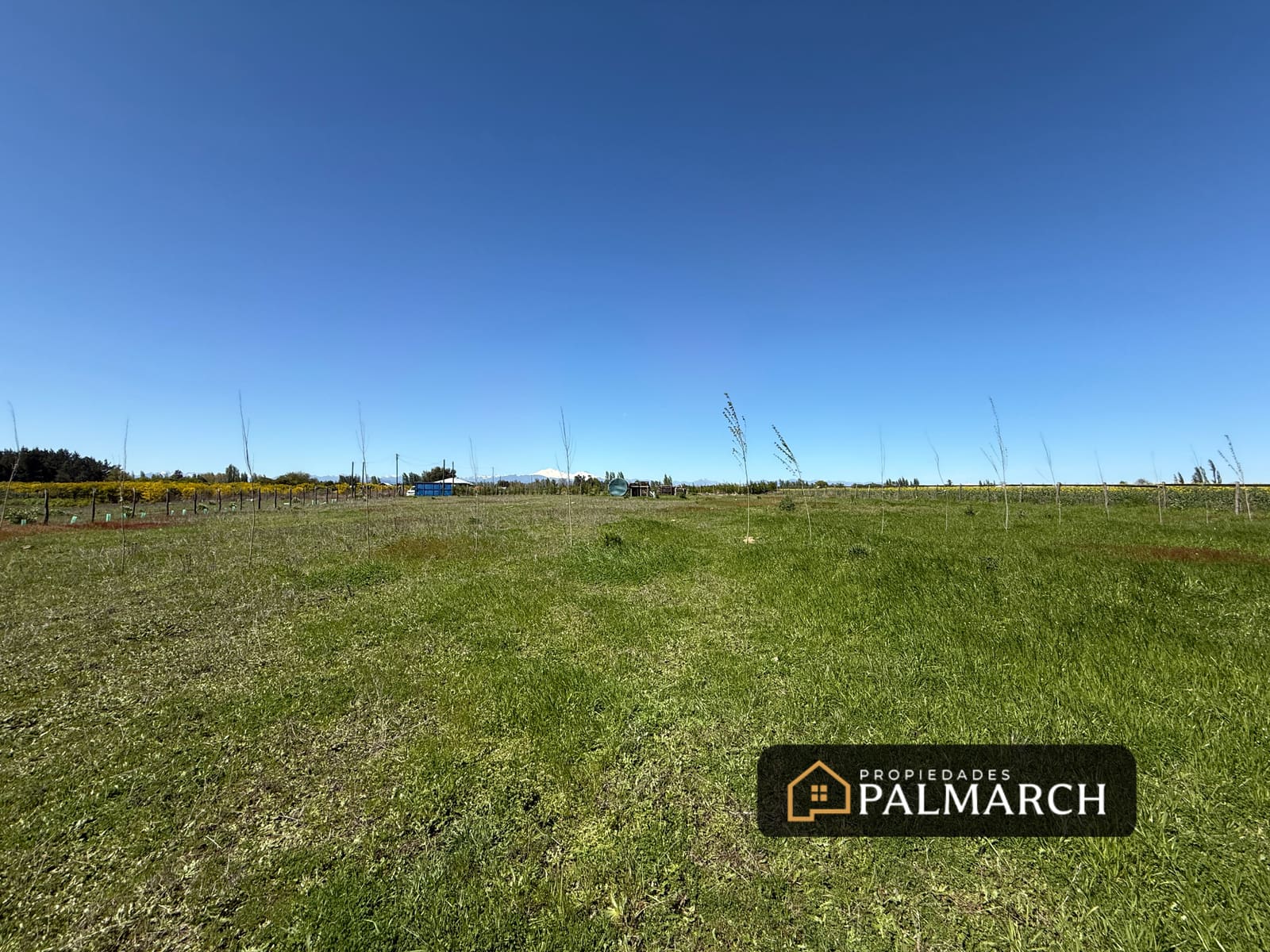 Parcela en venta en Pinto — foto 10