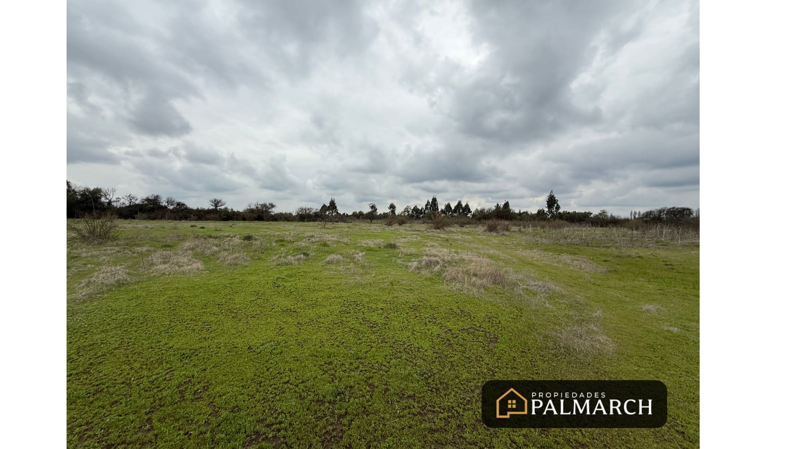 Parcela en venta en Parral — foto 2