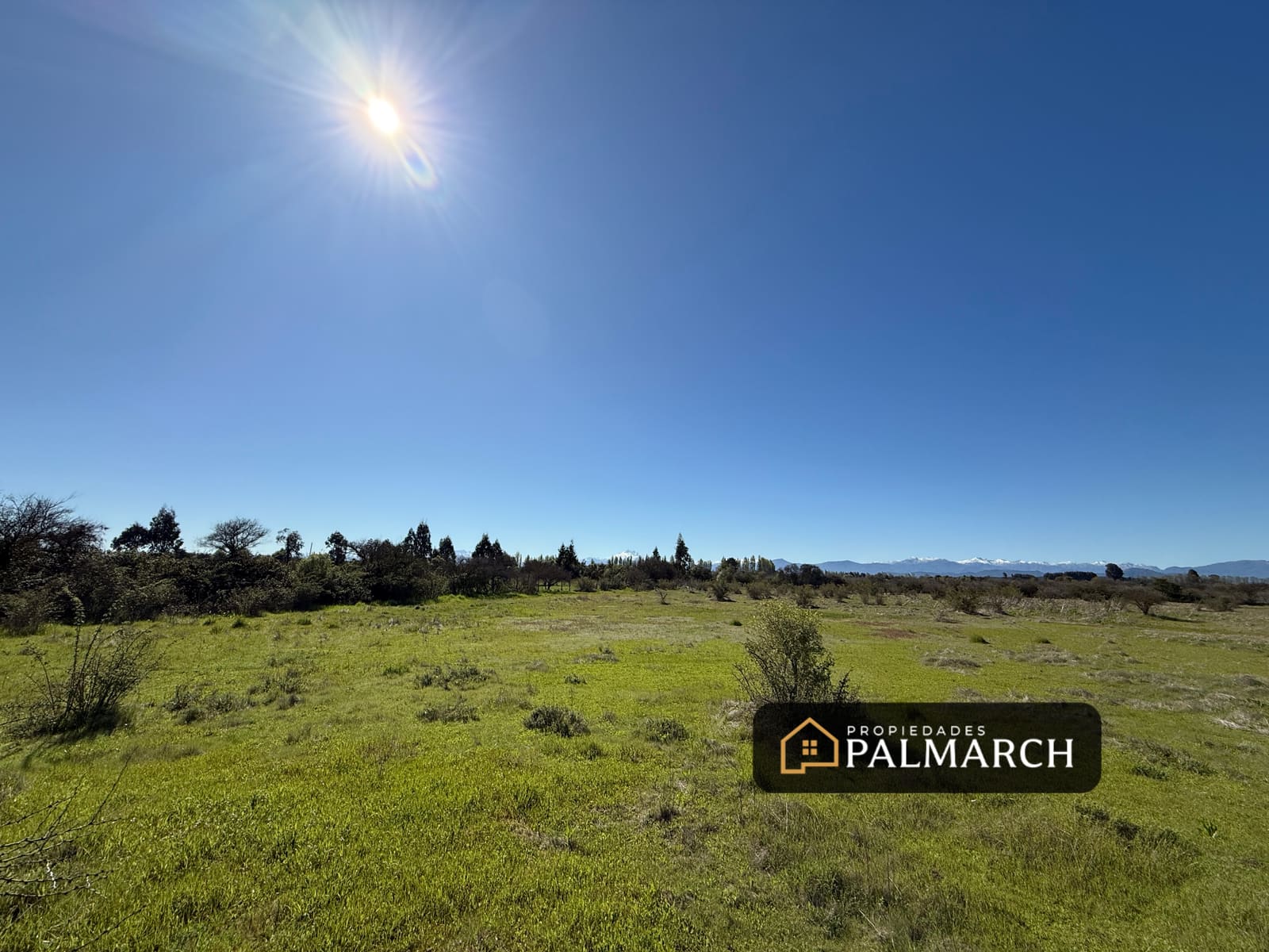 Parcela en venta en Parral — foto 8