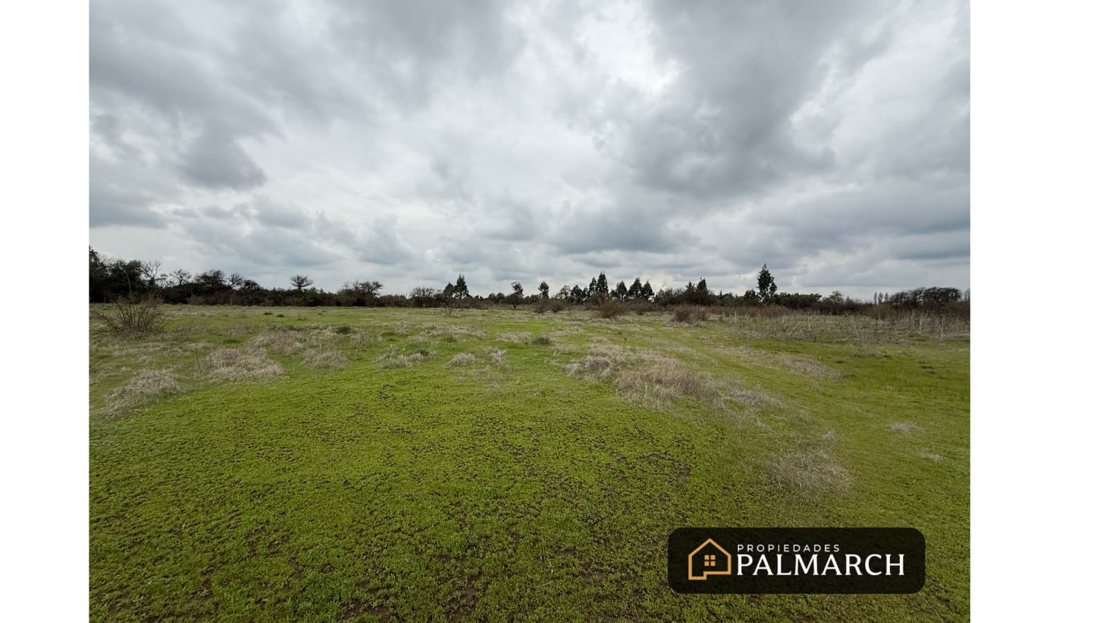 Parcela en venta en Parral — foto 10