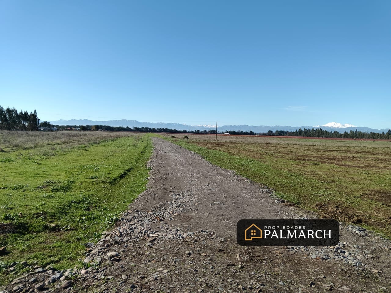 Parcela en venta en Chillán — foto 1