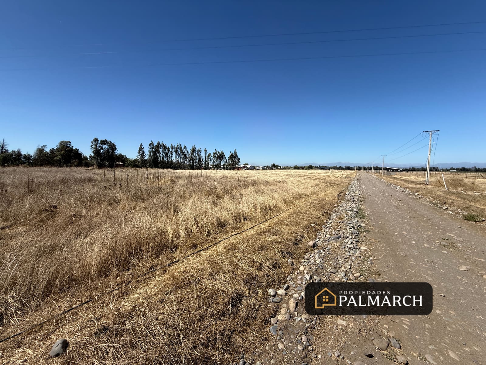 Parcela en venta en Chillán — foto 8