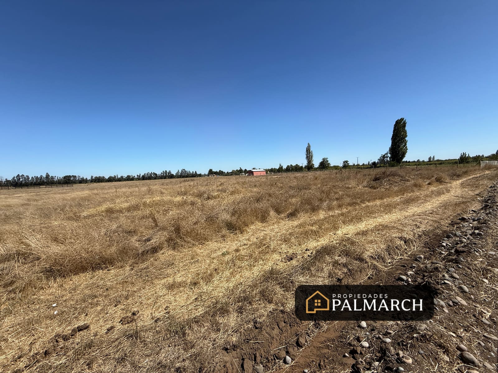 Parcela en venta en Chillán — foto 9