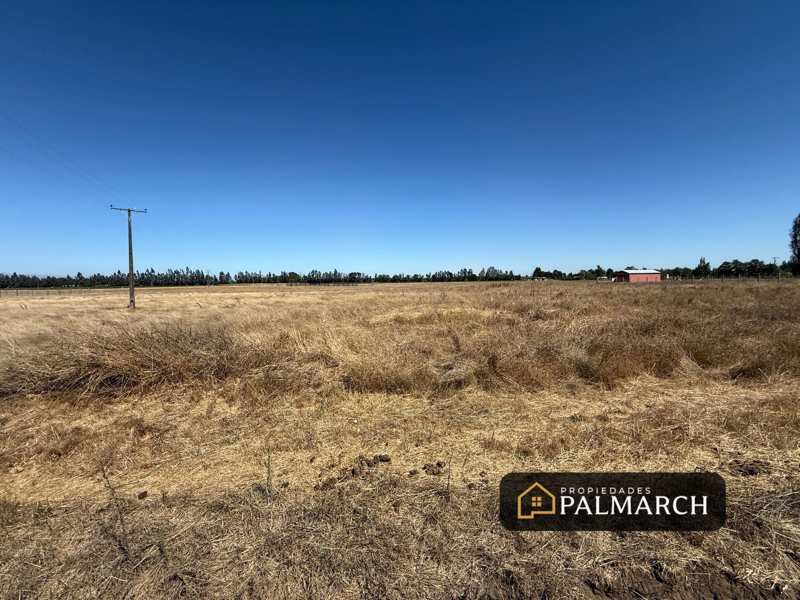 Parcela en venta en Chillán — foto 10