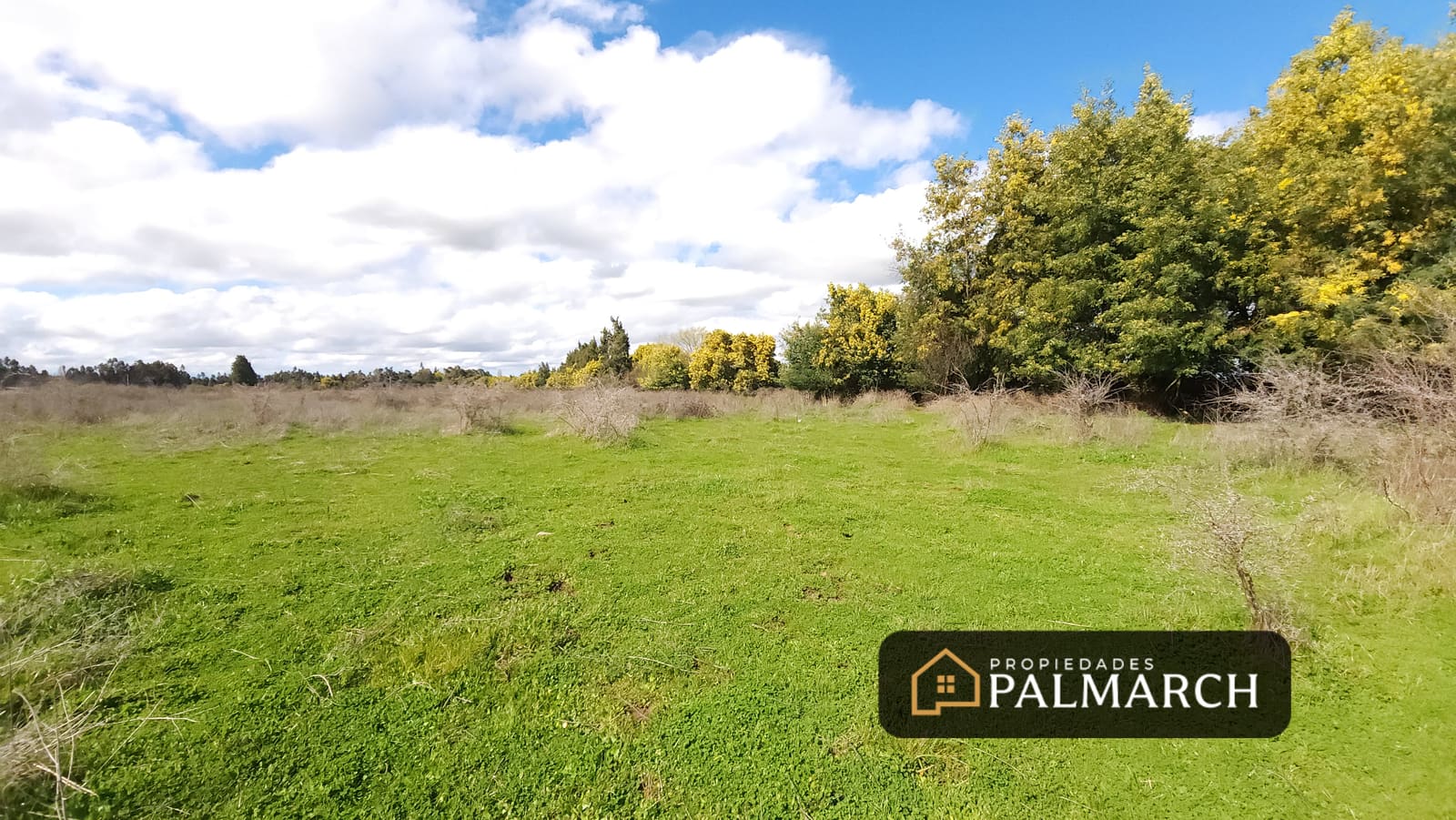 Parcela en venta en Chillán — foto 3