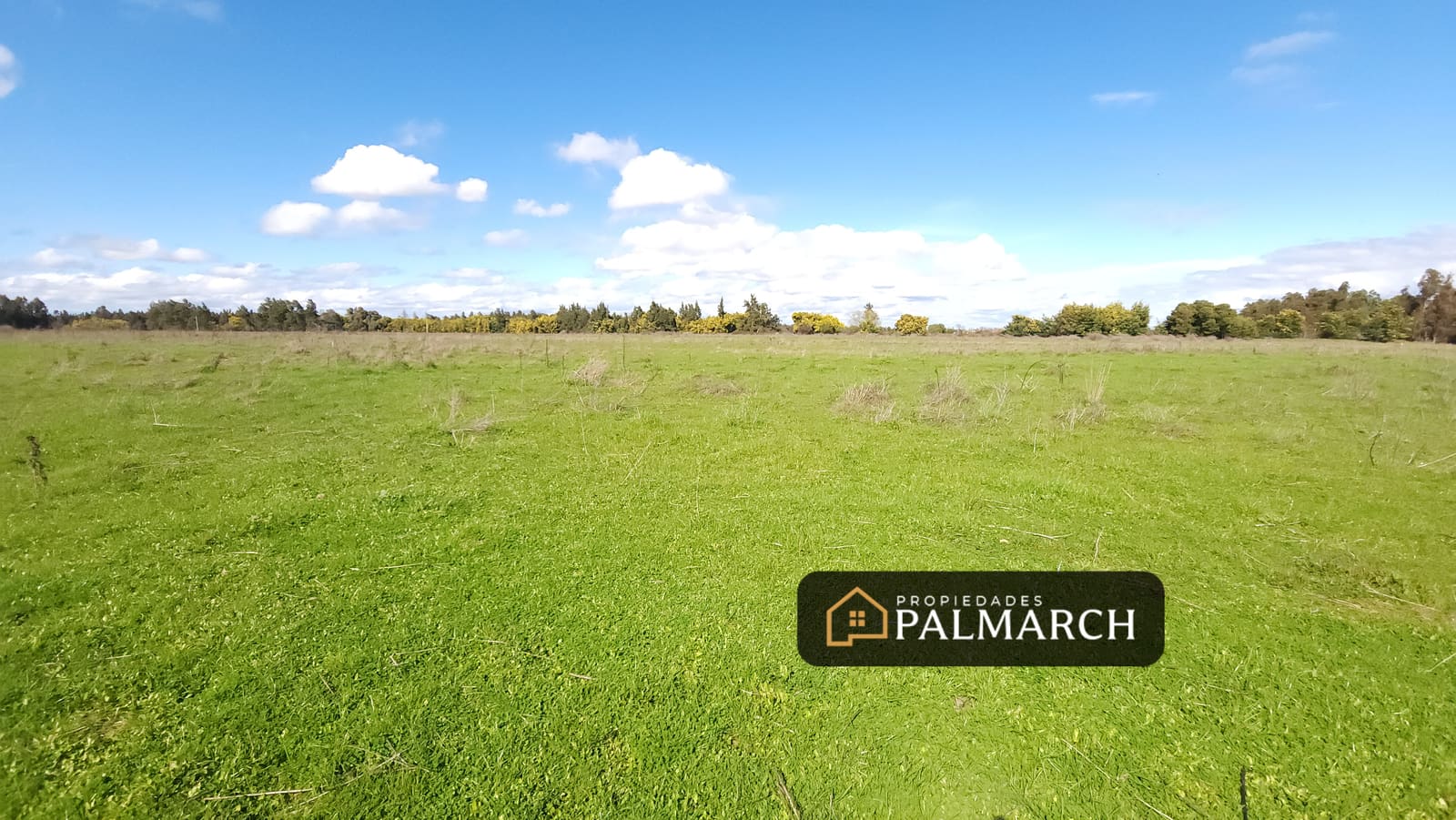 Parcela en venta en Chillán — foto 4