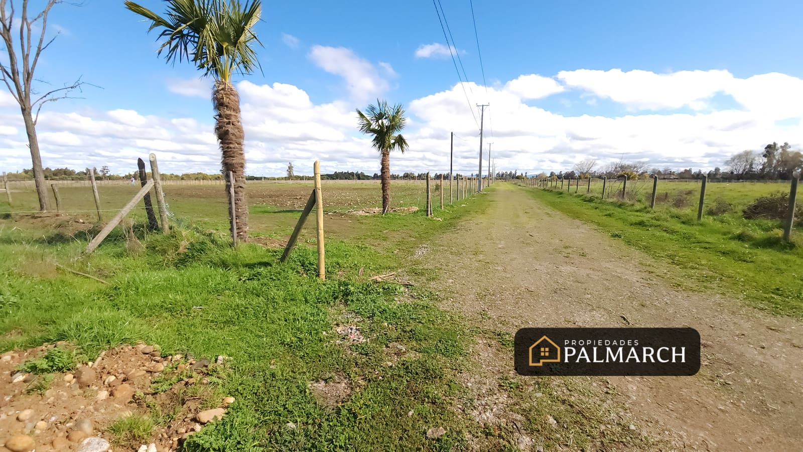 Parcela en venta en Chillán — foto 5