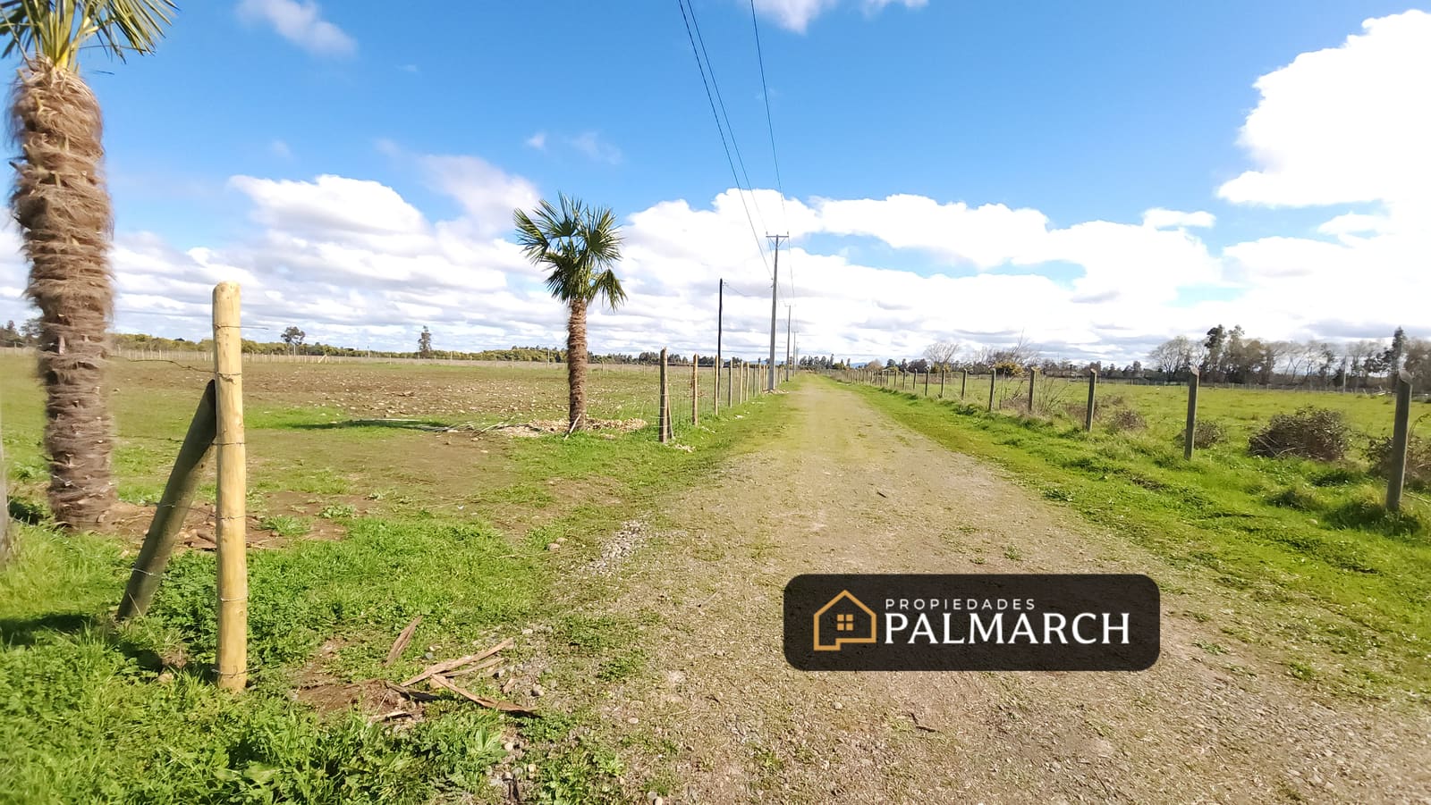 Parcela en venta en Chillán — foto 6