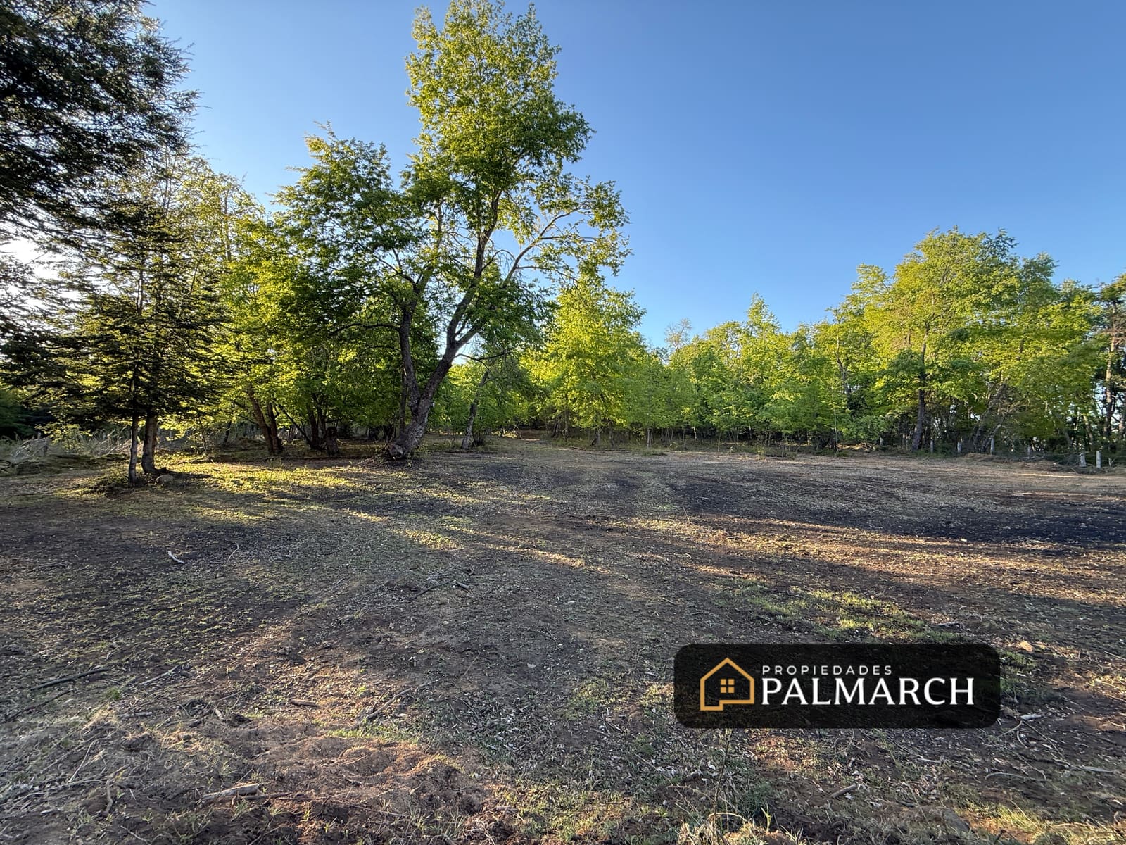 Parcela en venta en Pinto — foto 2